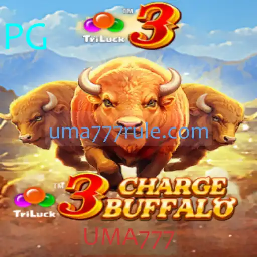 Conheça o Excitante Mundo de 3ChargeBuffalo